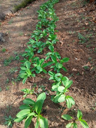 이장우님의 자유주제 · 자유게시판 작성글 사진