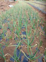 전국하님의 자유주제·자유게시판 작성글 사진