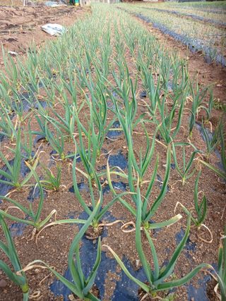 전국하님의 자유주제 · 자유게시판 작성글 사진