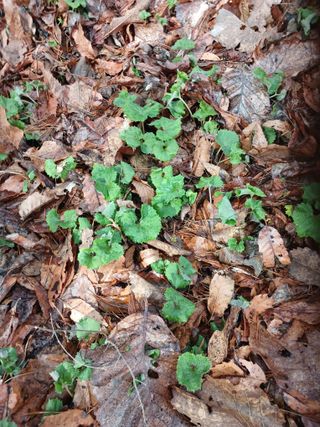 전국하님의 자유주제 · 자유게시판 작성글 사진