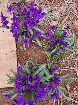 윤형곤님의 자유주제·자유게시판 작성글 사진