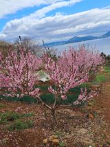 윤형곤님의 자유주제·자유게시판 작성글 사진