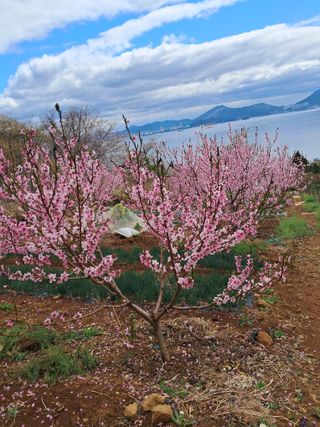 윤형곤님의 자유주제 · 자유게시판 작성글 사진