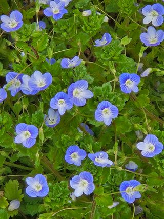 종일님의 자유주제 · 자유게시판 작성글 사진