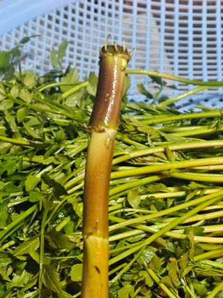 종일님의 자유주제 · 자유게시판 작성글 사진