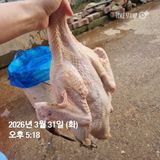 민들레님의 자유주제·자유게시판 작성글 사진