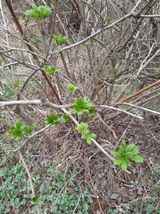 김민수산에서농사중님의 자유주제·자유게시판 작성글 사진