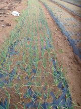 팜모닝 자유주제·자유게시판 게시글 이미지