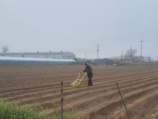 준영농장 출석왕.님의 자유주제 · 자유게시판 작성글 사진