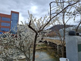 MSG0074님의 자유주제 · 자유게시판 작성글 사진