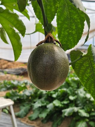 종일님의 자유주제 · 자유게시판 작성글 사진