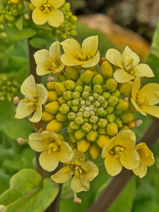 종일님의 자유주제 · 자유게시판 작성글 사진