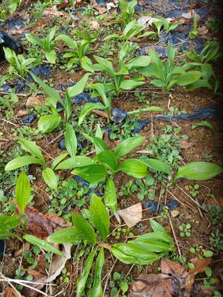 전국하님의 자유주제 · 자유게시판 작성글 사진