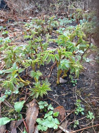 전국하님의 자유주제 · 자유게시판 작성글 사진
