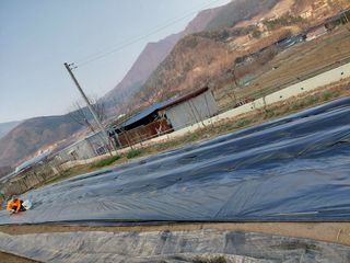 이박농장님의 자유주제 · 자유게시판 작성글 사진