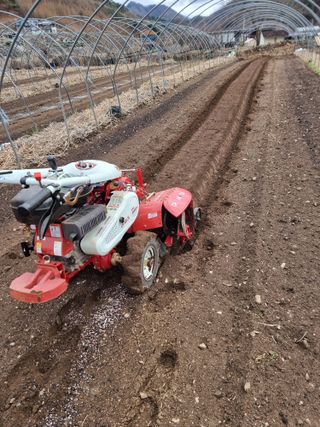 조경준님의 자유주제 · 자유게시판 작성글 사진