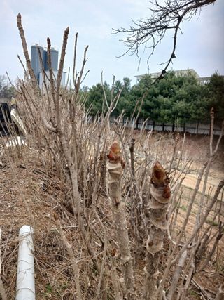 전국하님의 자유주제 · 자유게시판 작성글 사진