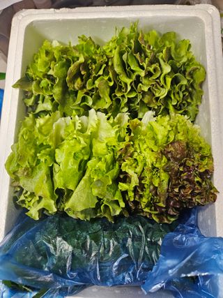 종일님의 자유주제 · 자유게시판 작성글 사진