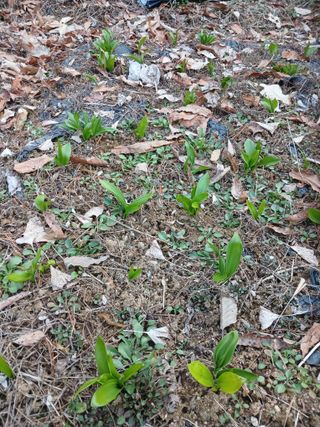 전국하님의 자유주제 · 자유게시판 작성글 사진