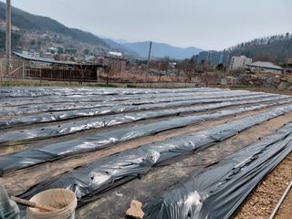 이박농장님의 자유주제 · 자유게시판 작성글 사진