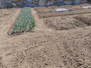 이박농장님의 자유주제 · 자유게시판 작성글 사진