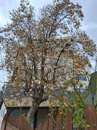 MSG0074님의 자유주제 · 자유게시판 작성글 사진