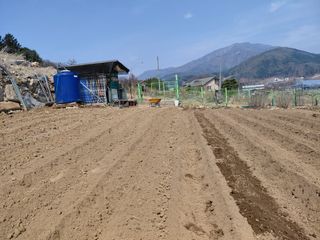 이박농장님의 자유주제 · 자유게시판 작성글 사진