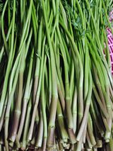 종일님의 자유주제·자유게시판 작성글 사진