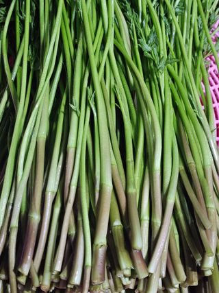 종일님의 자유주제 · 자유게시판 작성글 사진