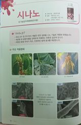 대산농사대장님의 고추·비료•농약 작성글 사진