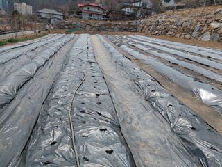 이박농장님의 자유주제 · 자유게시판 작성글 사진