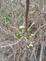 김민수산에서농사중님의 자유주제·자유게시판 작성글 사진
