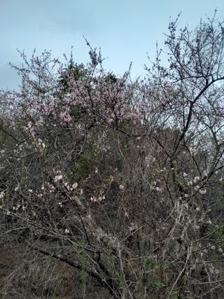 김민수산에서농사중님의 자유주제 · 자유게시판 작성글 사진