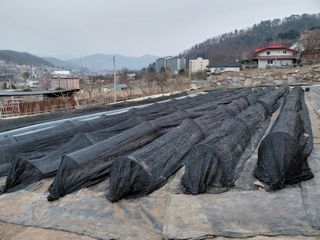 이박농장님의 자유주제 · 자유게시판 작성글 사진