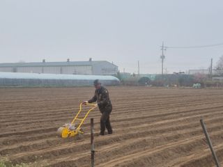 준영농장 출석왕.님의 자유주제 · 자유게시판 작성글 사진