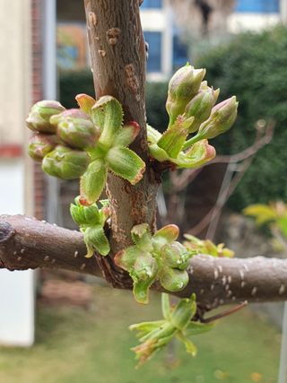 하나라도 소중하게님의 자유주제 · 자유게시판 작성글 사진