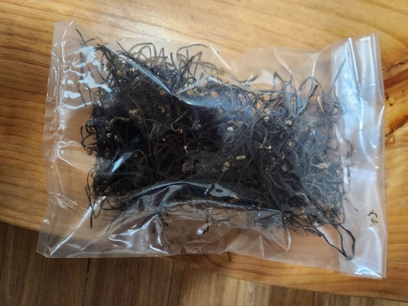 양태숙님의 장터 판매 상품 [2026년제주도 제주도 자연산 건고사리 100그램] 첨부 사진
