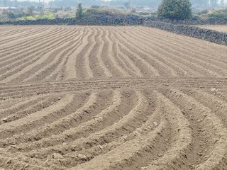한경훈님의 자유주제 · 자유게시판 작성글 사진