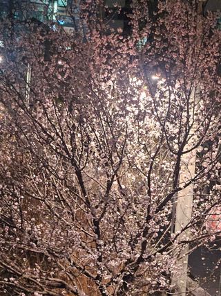 베리첼님의 자유주제 · 자유게시판 작성글 사진