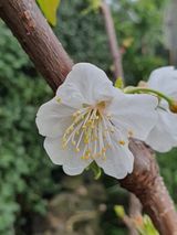 팜모닝 자유주제·자유게시판 게시글 이미지