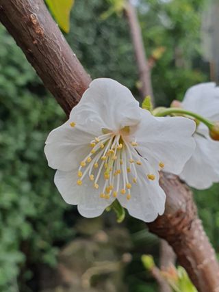 하나라도 소중하게님의 자유주제 · 자유게시판 작성글 사진