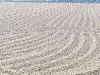 한경훈님의 자유주제 · 자유게시판 작성글 사진