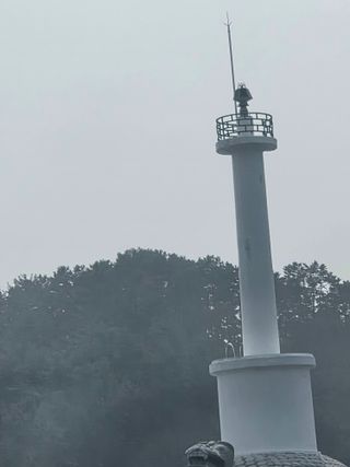 0104436291님의 작성글 사진