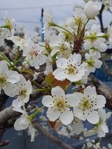 팜모닝 자유주제·자유게시판 게시글 이미지