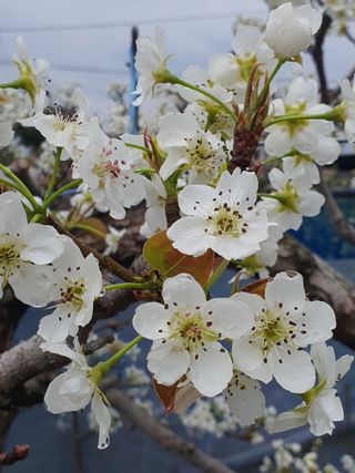 하나라도 소중하게님의 자유주제 · 자유게시판 작성글 사진