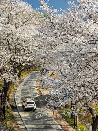 김숙자님의 자유주제·자유게시판 작성글 사진