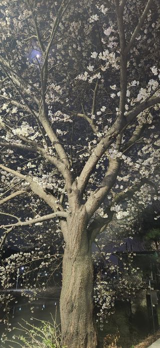 베리첼님의 자유주제 · 자유게시판 작성글 사진