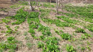 여우내 이순홍님의 자유주제 · 자유게시판 작성글 사진