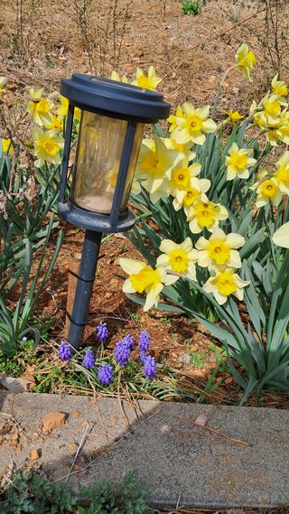 bpjh9173님의 자유주제 · 자유게시판 작성글 사진