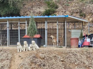 늘푸른농원님의 자유주제 · 자유게시판 작성글 사진